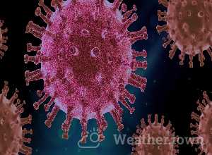 Will the coronavirus passed by summer?